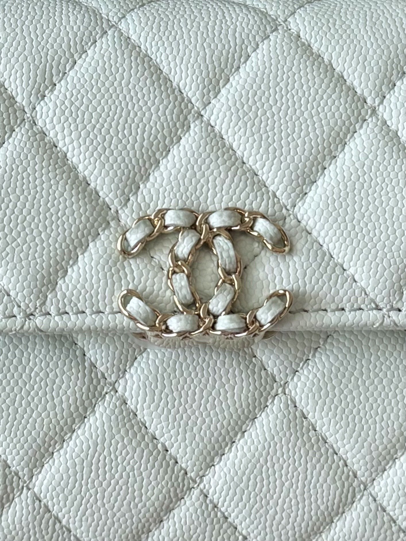 Chanel Kelly Bag from the 25S / 23P - Image 2