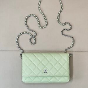 Chanel Classic Light Green Wallet on Chain (WOC)
